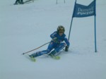 DSCF0079.JPG (27KB)