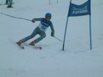 DSCF0087.JPG (27KB)