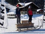 DSCN0460.JPG (68KB)