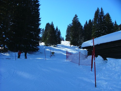 DSCF1656.JPG (46KB)