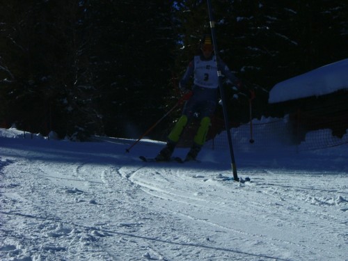 DSCF1659.JPG (48KB)