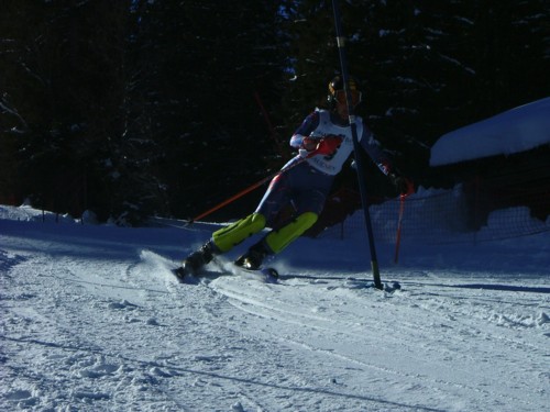DSCF1660.JPG (49KB)