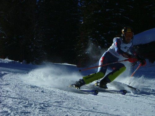 DSCF1661.JPG (49KB)