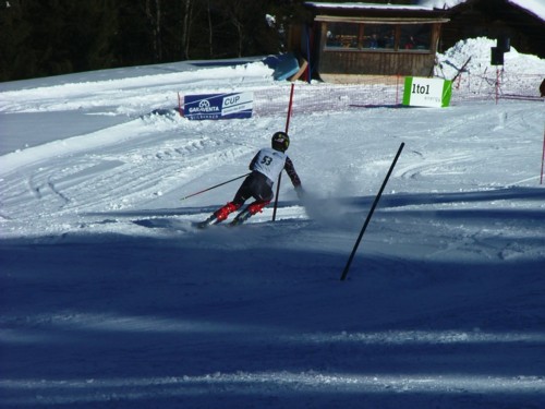 DSCF1747.JPG (47KB)