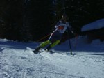 DSCF1660.JPG (49KB)