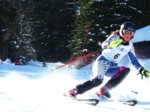 DSCF1667.JPG (60KB)