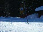 DSCF1674.JPG (51KB)