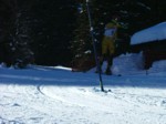 DSCF1675.JPG (51KB)