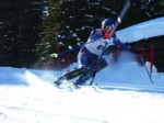 DSCF1701.JPG (51KB)