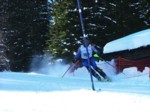 DSCF1703.JPG (57KB)