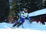 DSCF1706.JPG (63KB)