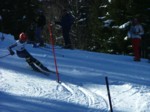 DSCF1719.JPG (57KB)