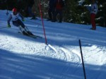 DSCF1723.JPG (54KB)