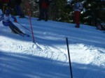 DSCF1728.JPG (55KB)