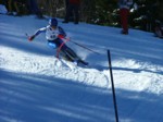 DSCF1729.JPG (53KB)