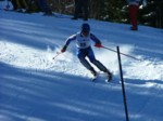 DSCF1730.JPG (52KB)