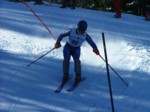 DSCF1731.JPG (49KB)