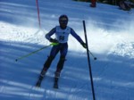 DSCF1736.JPG (46KB)