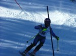 DSCF1737.JPG (46KB)