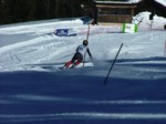 DSCF1747.JPG (47KB)
