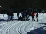 DSCF1749.JPG (62KB)