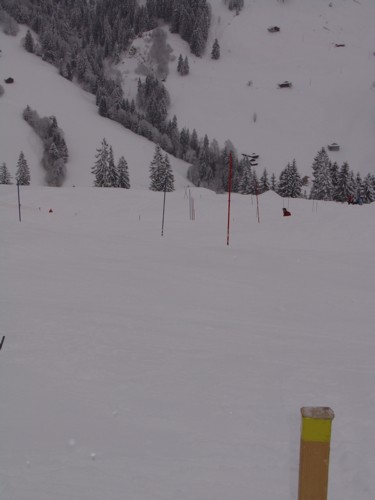 DSC01285.JPG (24KB)