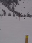 DSC01285.JPG (24KB)