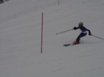 DSC01331.JPG (20KB)