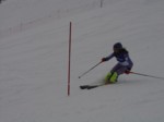 DSC01334.JPG (21KB)