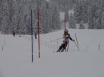 DSC01376.JPG (42KB)