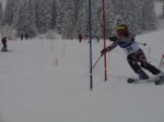 DSC01384.JPG (39KB)