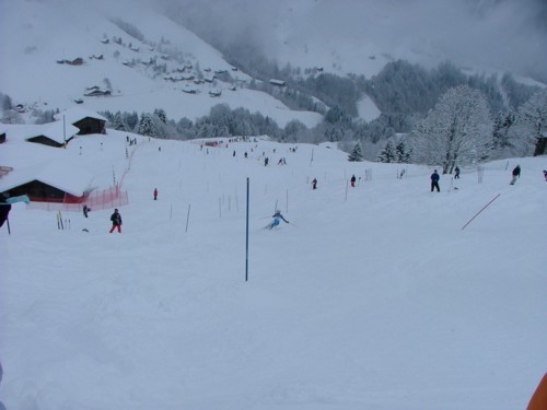 DSCF1839.JPG (30KB)