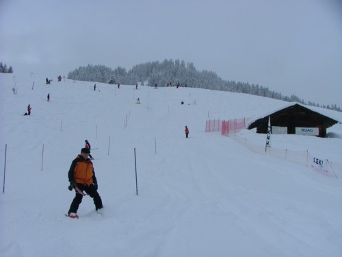 DSCF1842.JPG (23KB)