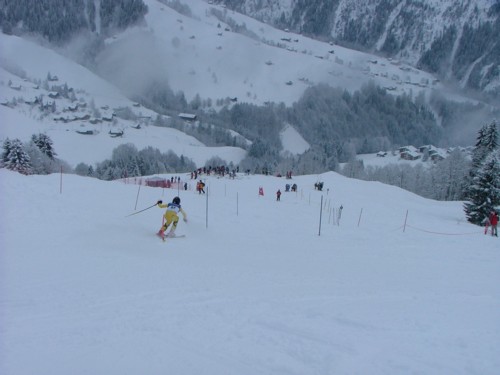 DSCF1843.JPG (34KB)
