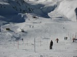 IMG_0245.JPG (47KB)