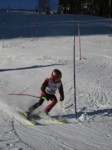 IMG_0431.JPG (50KB)