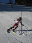 IMG_0464.JPG (51KB)