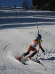 IMG_0502.JPG (50KB)