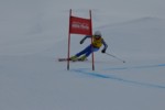 PEL_0150.JPG (16KB)