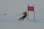 PEL_0189.JPG (17KB)