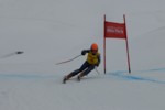 PEL_0190.JPG (17KB)