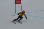 PEL_0192.JPG (18KB)