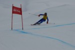 PEL_0263.JPG (20KB)