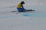 PEL_0294.JPG (29KB)
