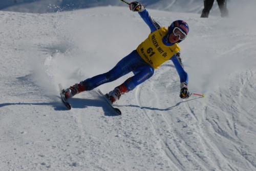 PEL_0376.JPG (41KB)