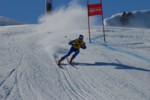 PEL_0074.JPG (44KB)
