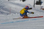 PEL_0083.JPG (43KB)
