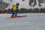PEL_0085.JPG (42KB)