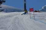 PEL_0118.JPG (40KB)