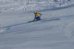 PEL_0155.JPG (46KB)